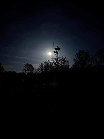 Vollmond Doras Garten
